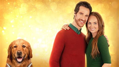 My Christmas Guide (2023) — The Movie Database (TMDB).